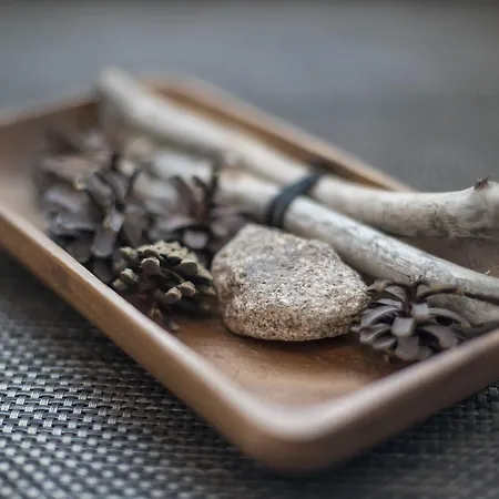 Casa Arctica 公寓 罗瓦涅米