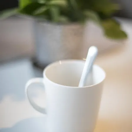 Casa Arctica Rovaniemi