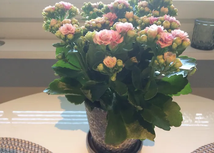 Διαμέρισμα Casa Arctica Ροβανιέμι