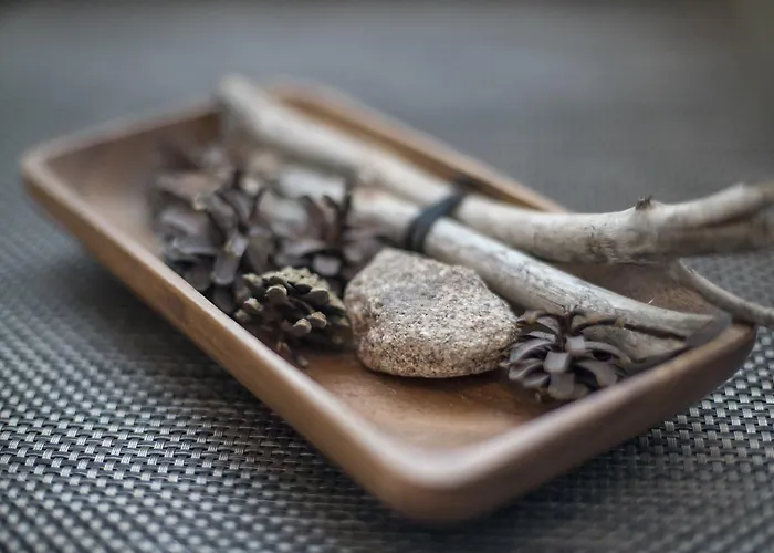 Casa Arctica Διαμέρισμα Ροβανιέμι