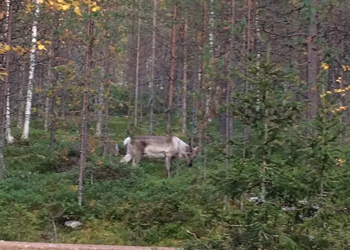 Διαμέρισμα Casa Arctica